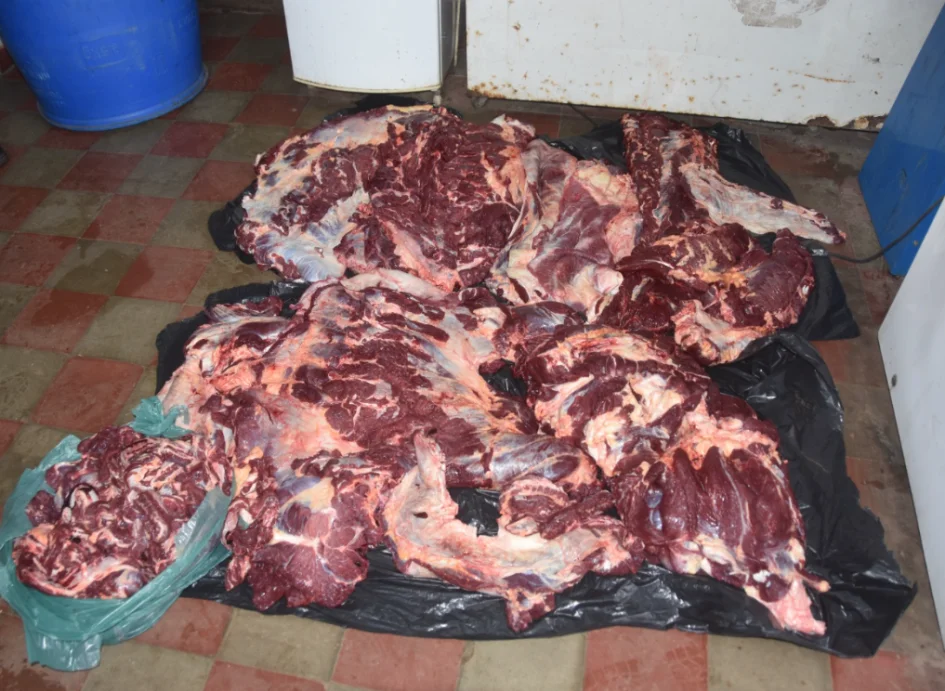 Carne vacuna cruda, distribuida sobre bolsas plásticas negras en el piso