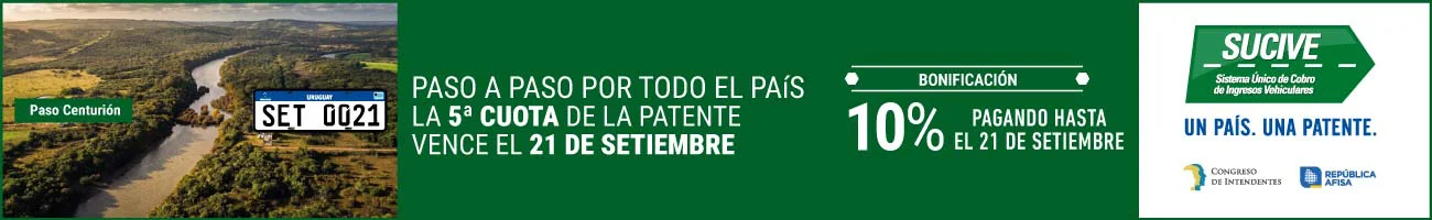 SET-Interior-1300-x-200-fijo