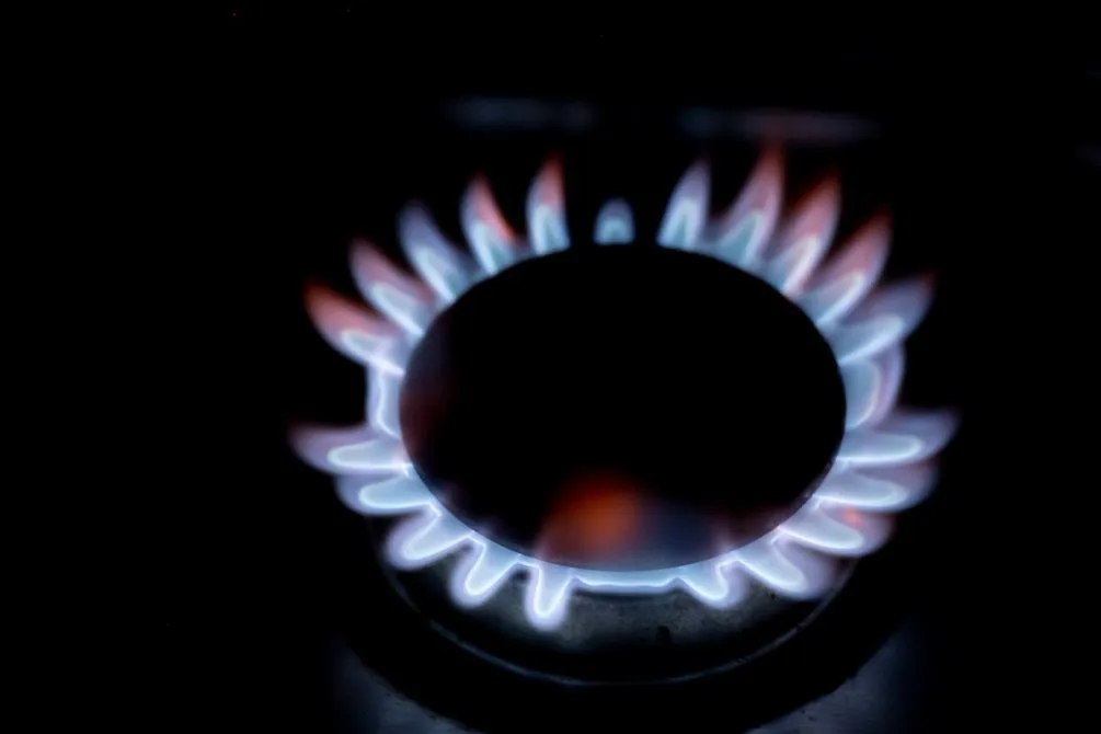 20220202PV_0001-1005x670