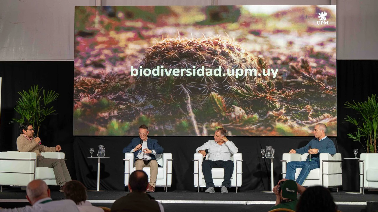 Lanzamiento web biodiversidad 2